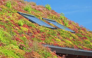 Deeping St James living roof systems